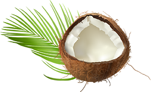 coconut