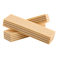 wafer